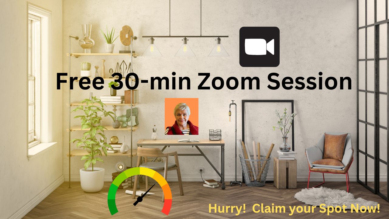 an advertsiement for a 30-min free Zoom call to take a trip inside AI MIllionaire. 